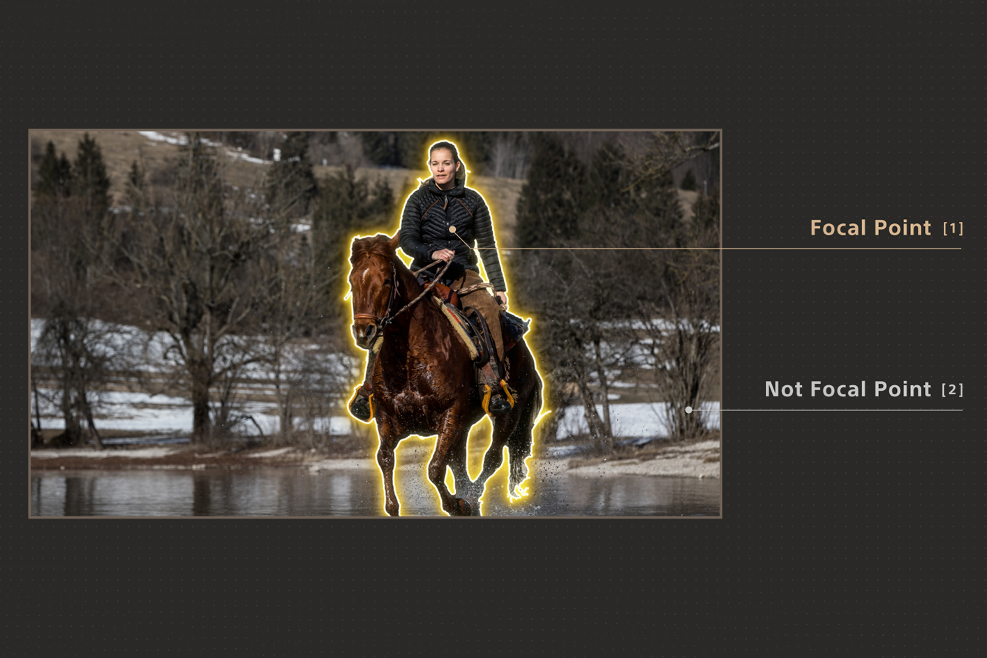 XR Processor de Sony que resalta a una persona a caballo como el punto focal en una escena.